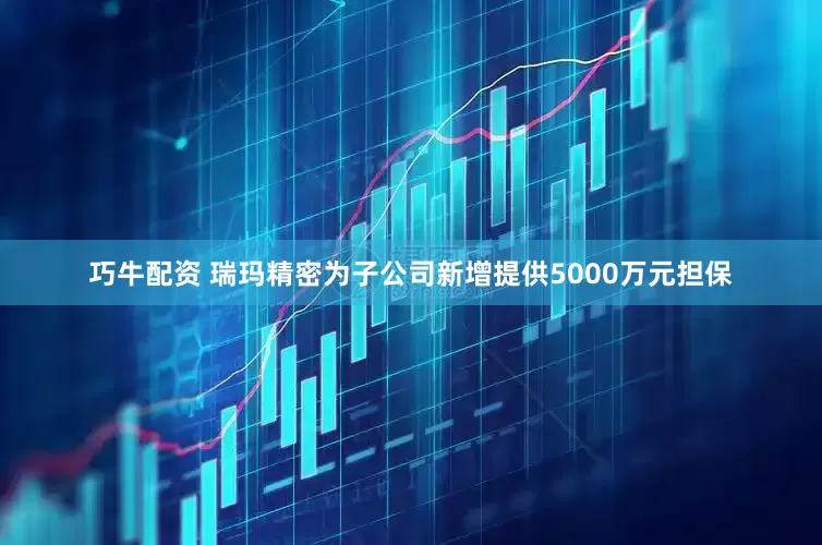 巧牛配资 瑞玛精密为子公司新增提供5000万元担保